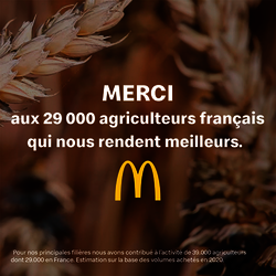 Bannière Publicitaire McDo